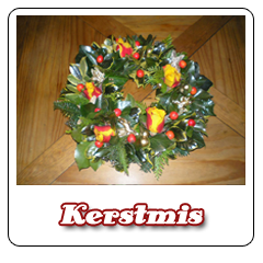 Gezellige Kerst - Workshop bloemschikken